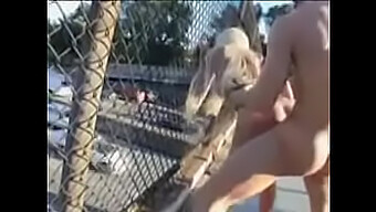 Blonde Babe Gets Her Big Tits And Pussy Fucked Hard In Public